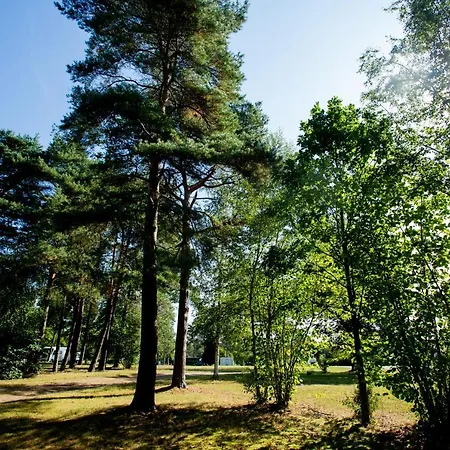 Naturcamping Lüneburger Heide - Chalets&Tiny Häuser Soltau Exterior foto