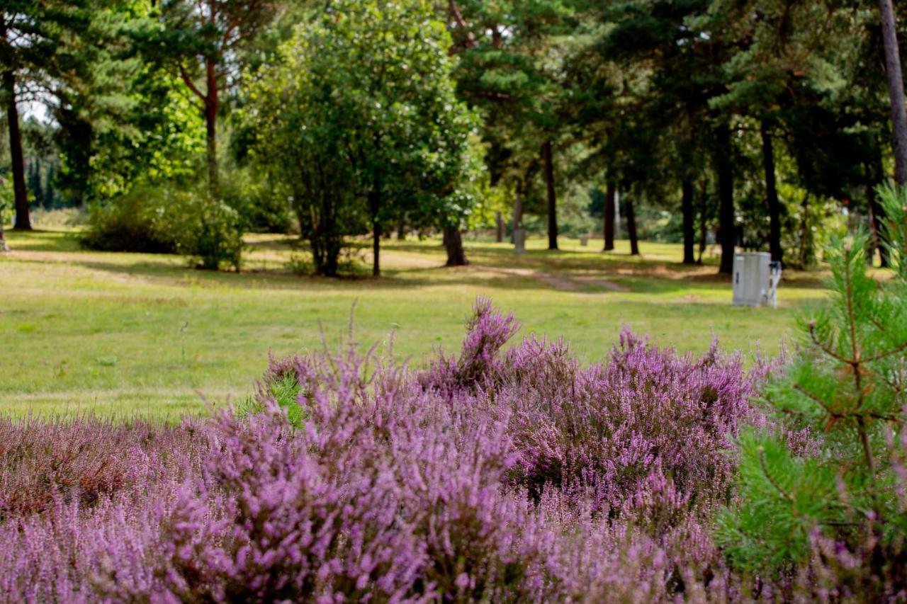 Naturcamping Lüneburger Heide - Chalets&tiny Häuser Campingplatz *